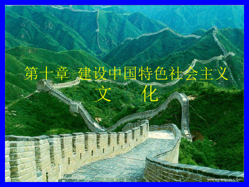 《中国特色社会主义理论》第十章 文化