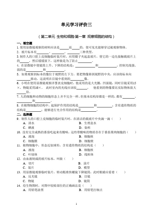 七年级上册生物单元评价三