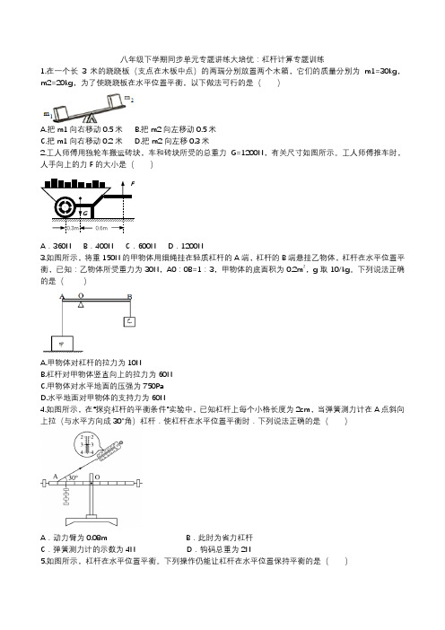 2019-2020学年人教版八年级下学期同步单元专题讲练大培优：杠杆计算专题训练