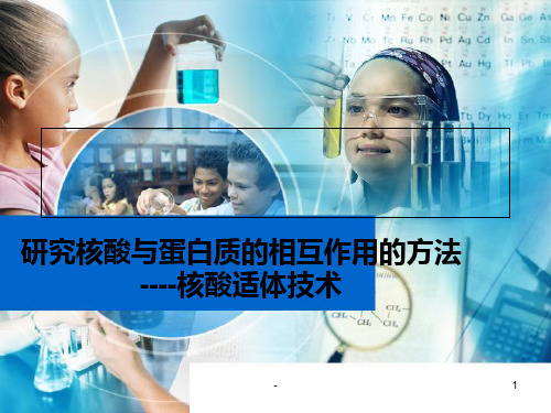 核酸适体技术PPT课件