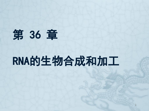 第36章 RNAppt课件