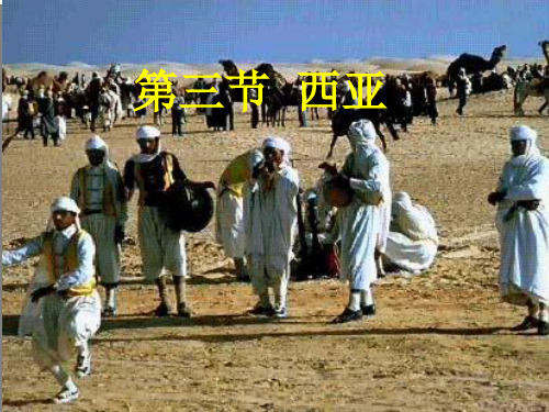 地理：七年级下册第七章了解地区第三节《西亚》(湘教版) (8)