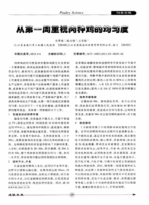 从第一周重视肉种鸡的均匀度