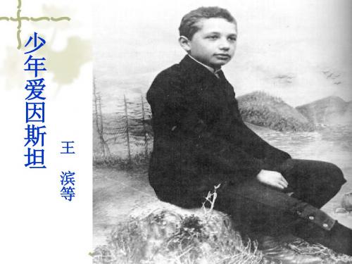 8.少年爱因斯坦.jspx