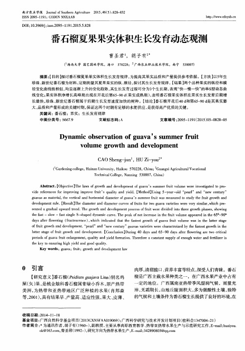 番石榴夏果果实体积生长发育动态观测