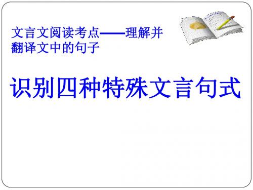 高考语文专题复习——文言句式(共15张PPT)