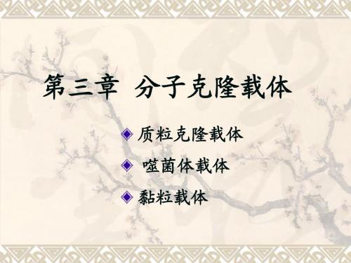 基因工程