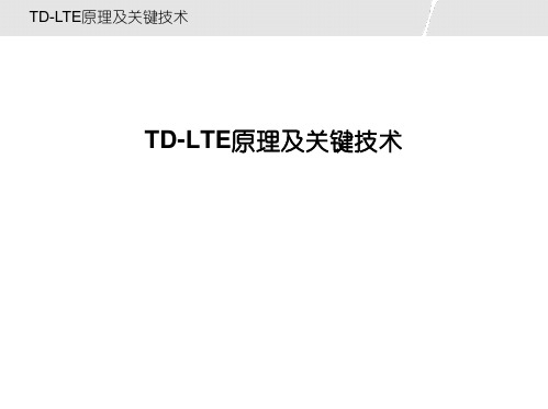 TD-LTE原理及关键技术V.1.0.0