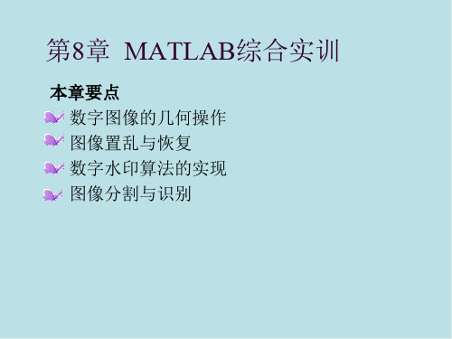 MATLAB基础及应用(第4版)8