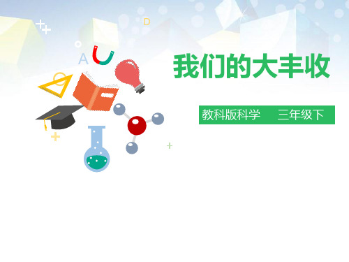 《我们的大丰收》植物的生长变化公开课件 图文