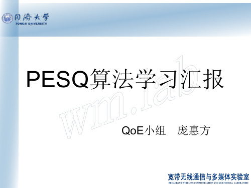 PESQ算法介绍与分析