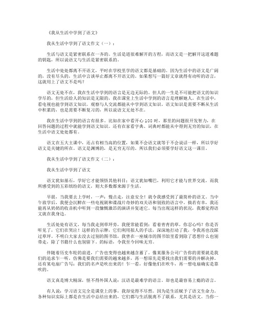 我从生活中学到了语文10篇_作文