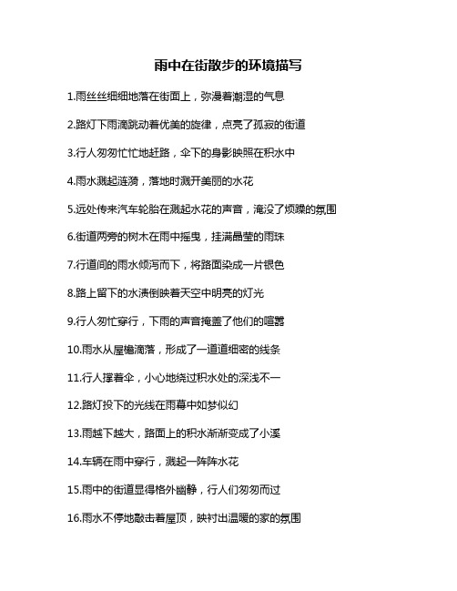 雨中在街散步的环境描写