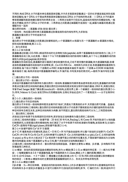 蛋白质的空间结构