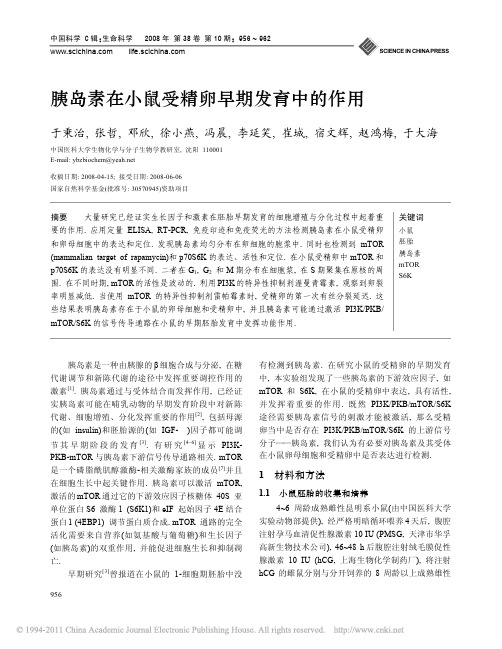 胰岛素在小鼠受精卵早期发育中的作用