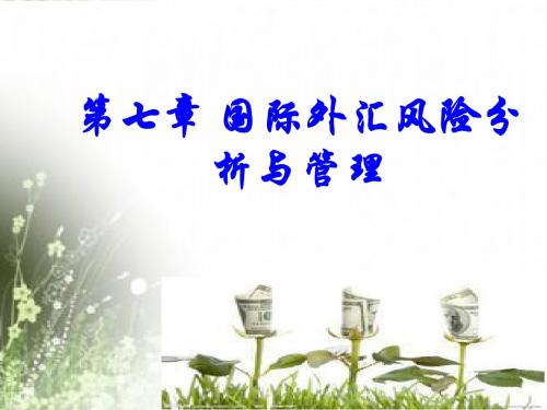 外汇风险分析与管理教材.ppt