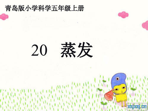 青岛版小学五年制科学四年级上册《蒸发》课件