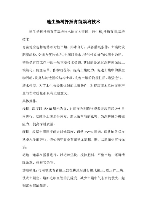 速生杨树扦插育苗栽培技术