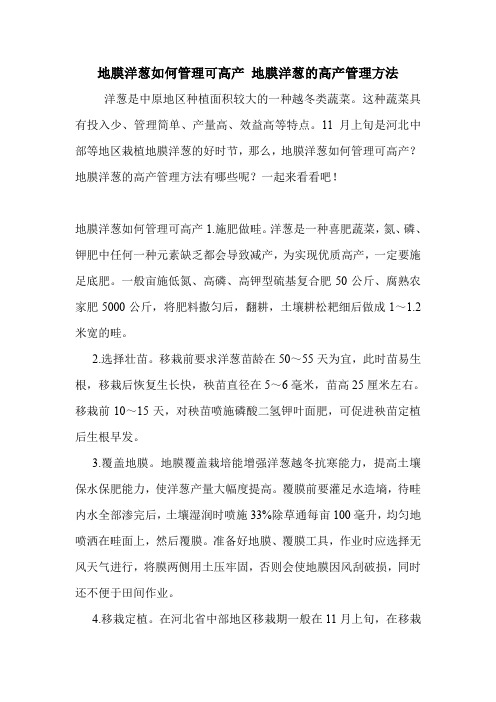地膜洋葱如何管理可高产 地膜洋葱的高产管理方法.doc