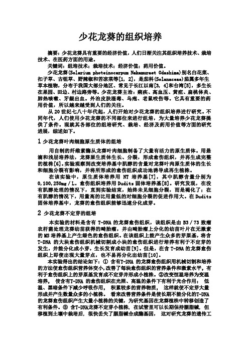 少花龙葵的组织培养