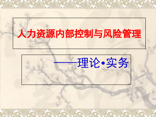 人力资源内部控制与风险管理教材(PPT 138页)