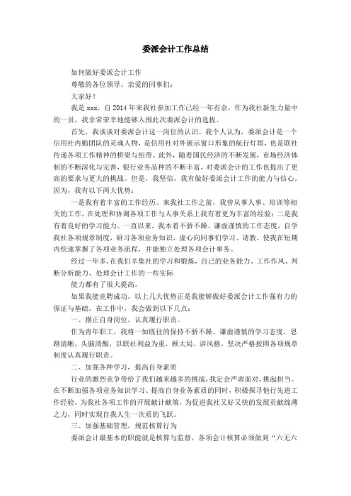 委派会计工作总结