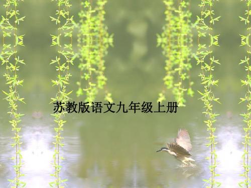 初中作文指导：细节让人物“活”起来优秀课件