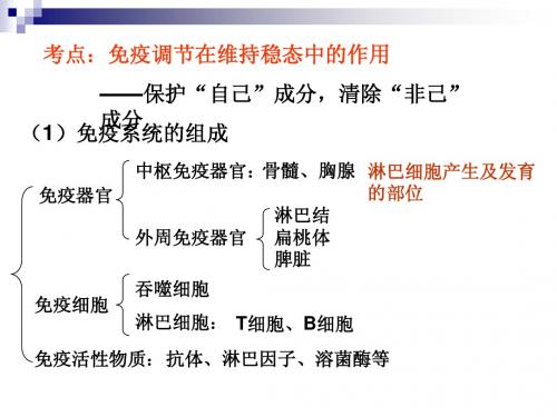 高考生物考点--免疫调节