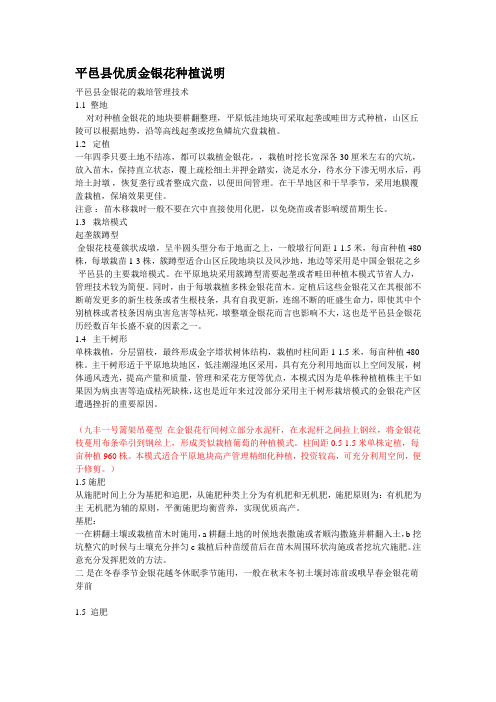 九丰一号金银花种植说明