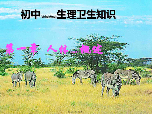 七年级生物下册8.3人体概述2初中七年级下册生物