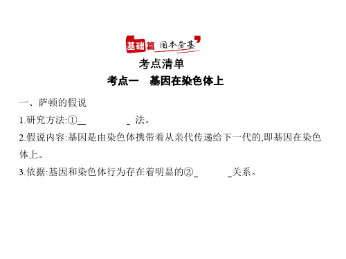 2021年山东高考生物复习课件：专题12 伴性遗传和人类遗传病