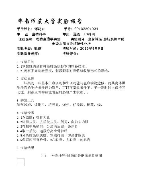 坐骨神经-腓肠肌标本的制备与肌肉收缩特性分析