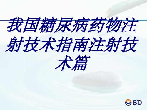 我国糖尿病药物注射技术指南注射技术篇PPT培训课件