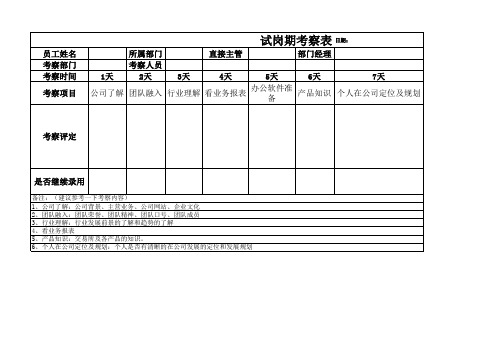 新员工-试岗期考察表