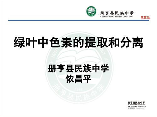 高中生物人教版绿叶中色素的提取和分离试验创新大赛课件