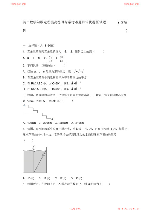 超详细初二数学勾股定理提高练习与常考难题和培优题压轴题含解析)(精华版)