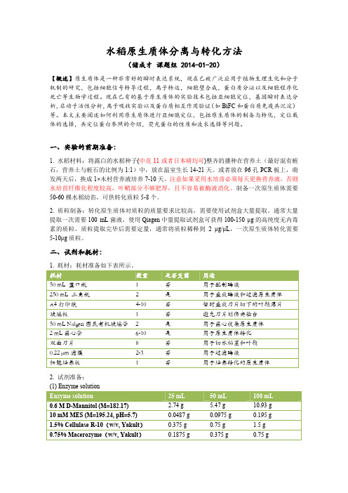 水稻原生质体分离与转化方法2014-01-20