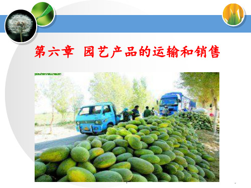 第六章-园艺产品的运输与销售PPT课件