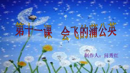 第十一课   会飞的蒲公英