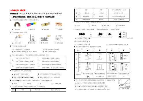 九年级化学下学期第一次模拟考试试题试题_00001