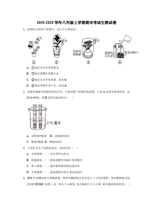 2019-2020学年八年级上学期期末考试生物试卷(含解析)