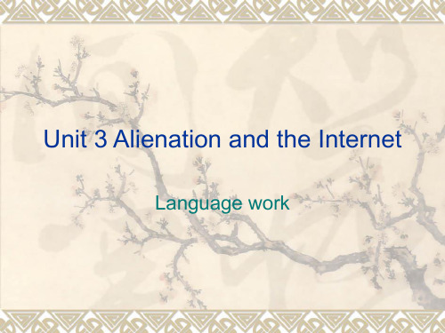Unit 3 Alienation and the Internet