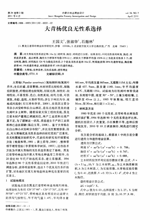 大青杨优良无性系选择