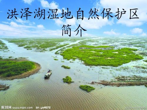 洪泽湖湿地自然保护宣传PPT