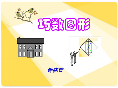 标准版巧数图形详解-小学奥数-44