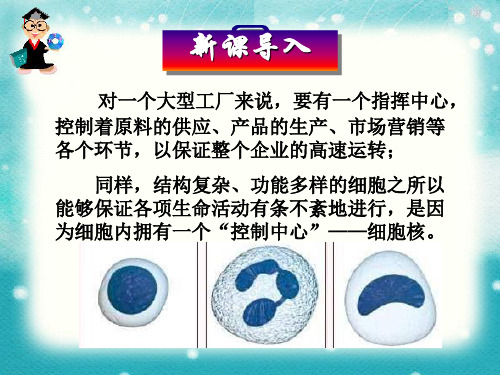 人教版生物必修一3.2《细胞核——系统的控制中心》教学课件PPT