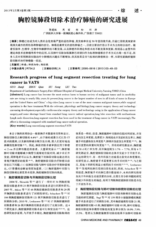 胸腔镜肺段切除术治疗肺癌的研究进展