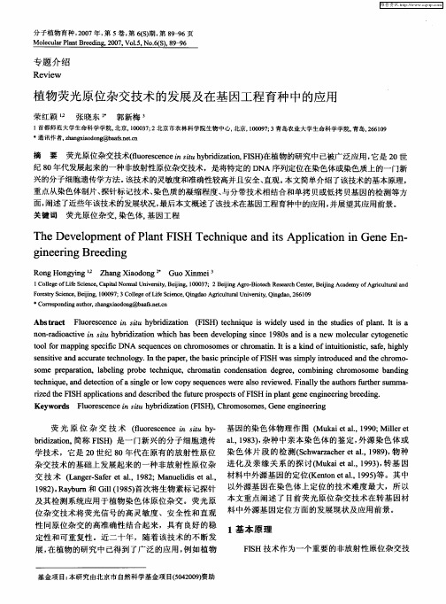 植物荧光原位杂交技术的发展及在基因工程育种中的应用