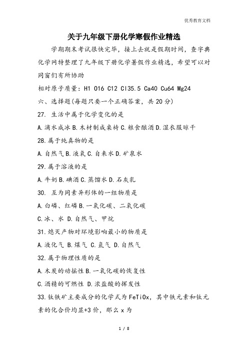 关于九年级下册化学寒假作业精选