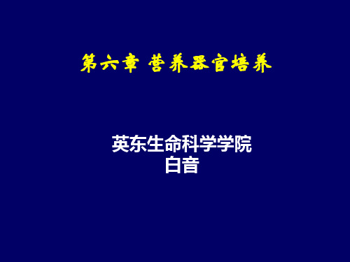 第六章  营养器官培养